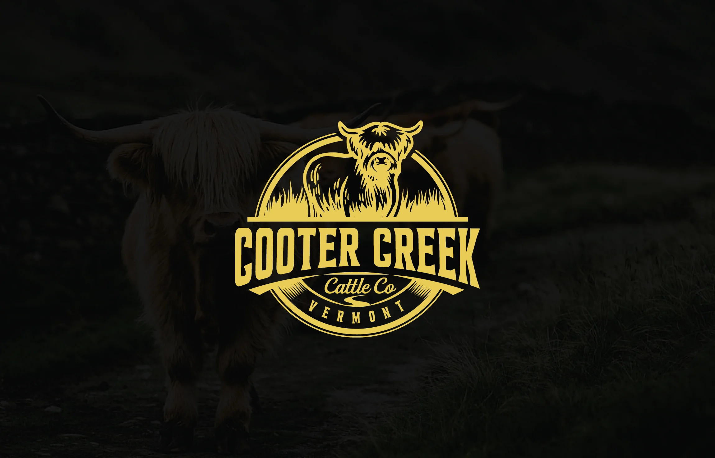 Cooter Creek by Cattle Co Logo Design